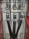gallery_p49537_1.png